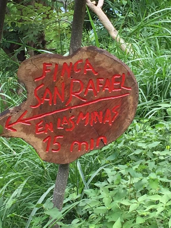 Finca San Rafael - Cafe Y Cacao ミンカ エクステリア 写真