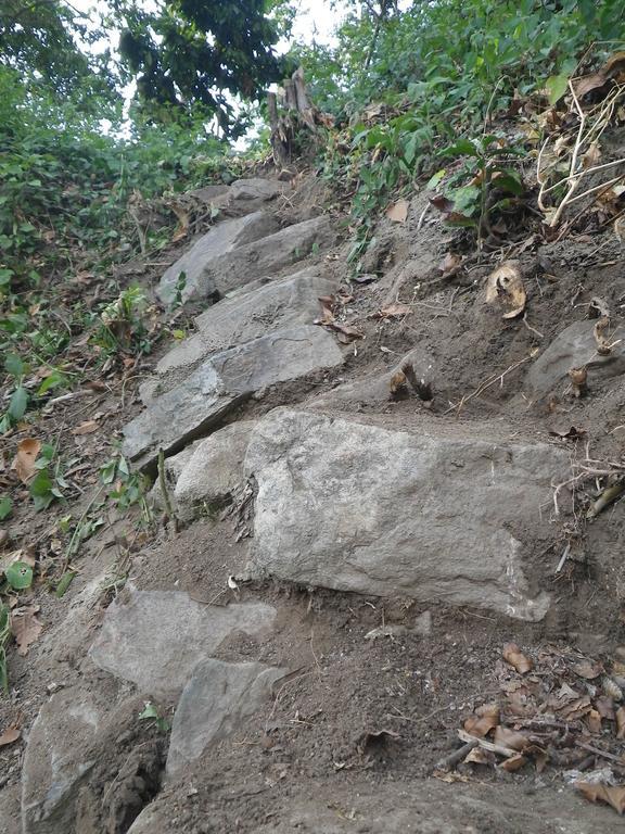 Finca San Rafael - Cafe Y Cacao ミンカ エクステリア 写真