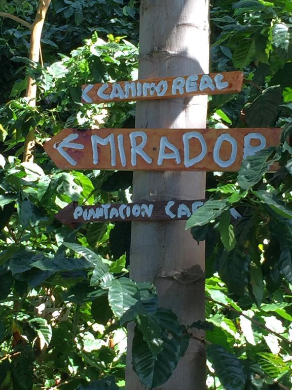 Finca San Rafael - Cafe Y Cacao ミンカ エクステリア 写真